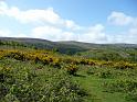 P1010016- Paysage des landes du parc national Exmoor